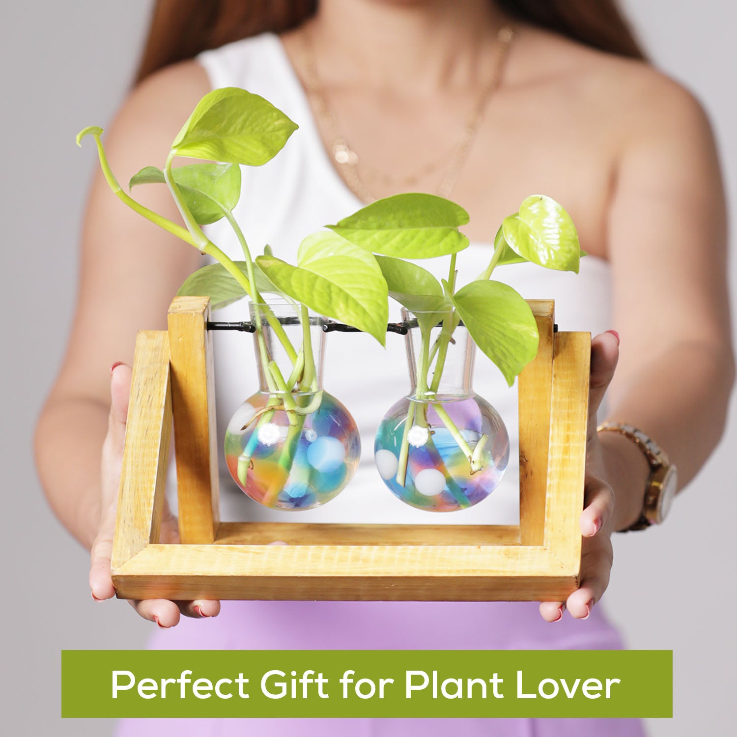 UNIQUE GLASS PLANTER