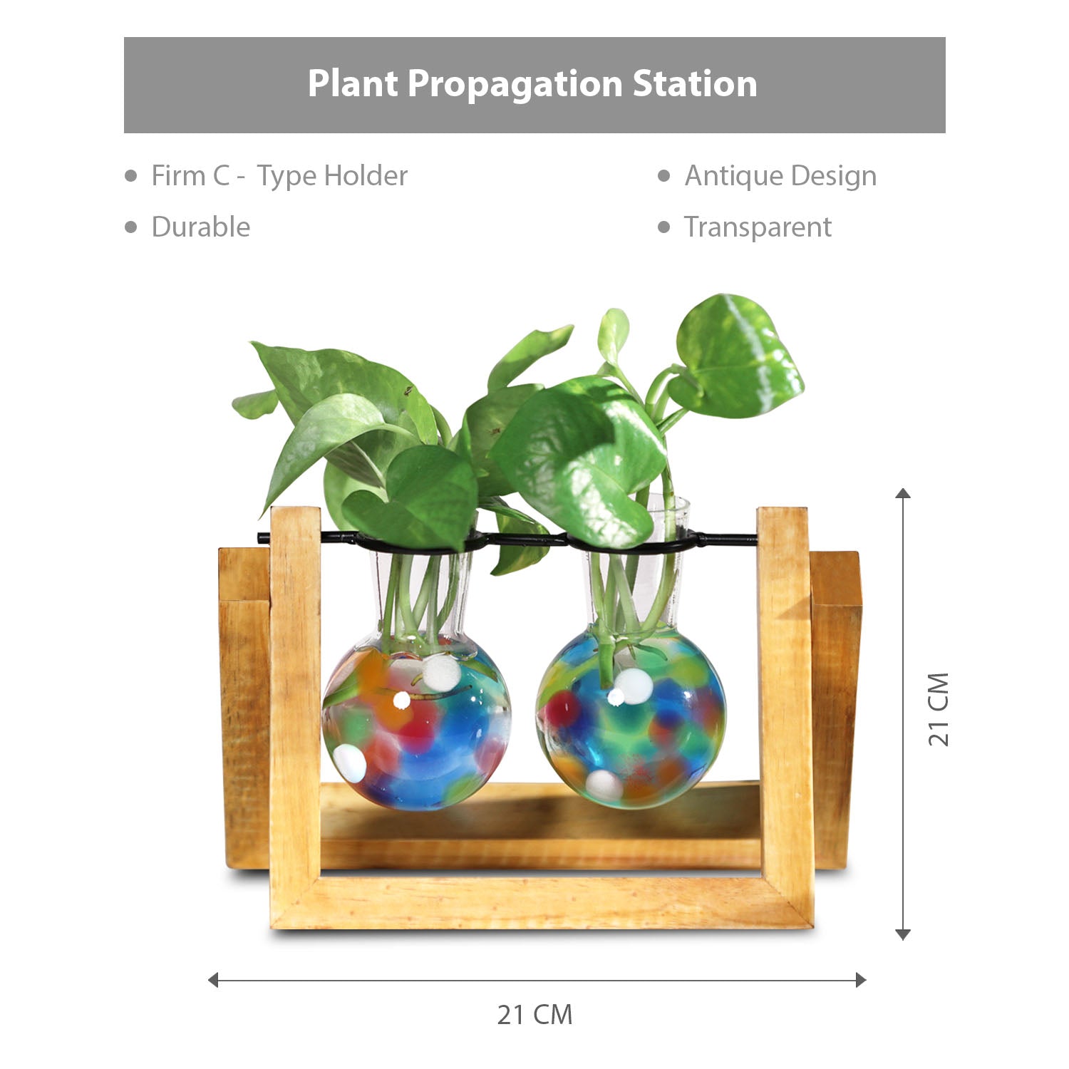 UNIQUE GLASS PLANTER